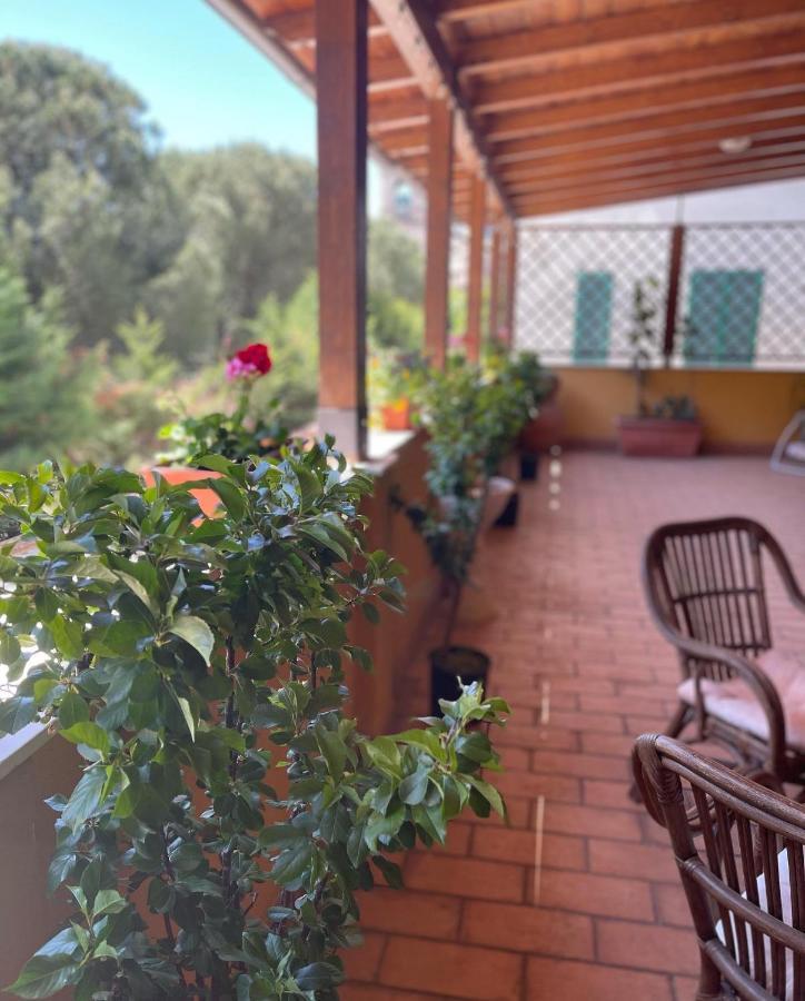 La Terrazza Dei Ciliegi Hotel Santa Maria Degli Angeli  Buitenkant foto