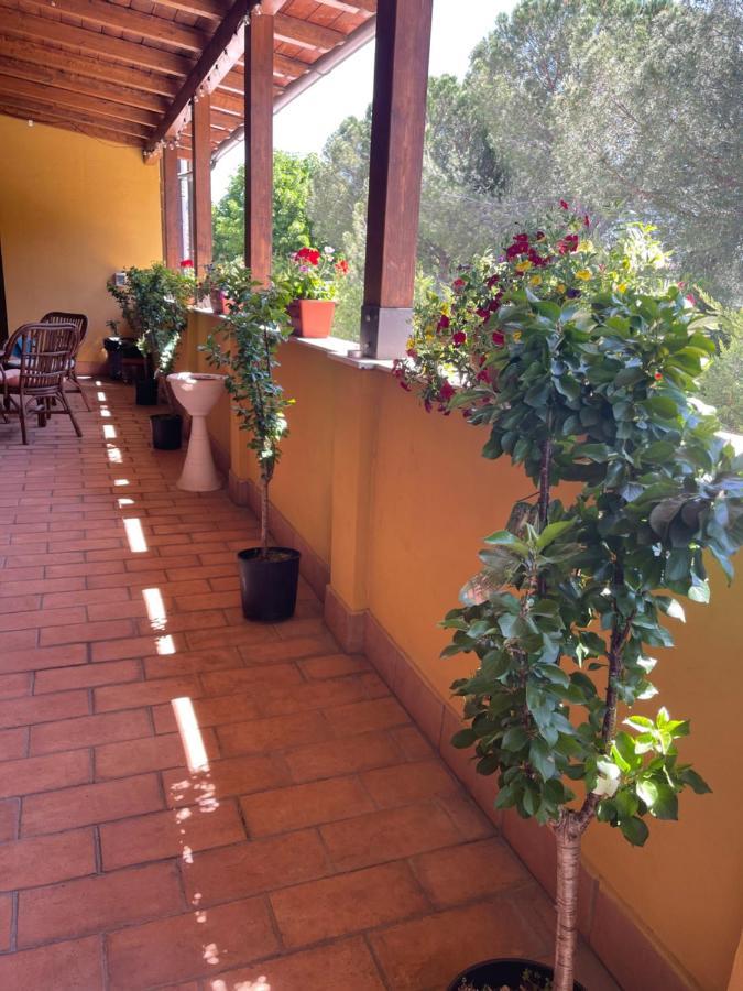 La Terrazza Dei Ciliegi Hotel Santa Maria Degli Angeli  Buitenkant foto