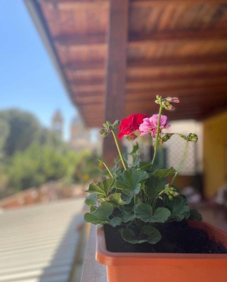 La Terrazza Dei Ciliegi Hotel Santa Maria Degli Angeli  Buitenkant foto